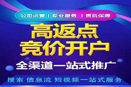 SEM优化实战：案例分析与优化建议